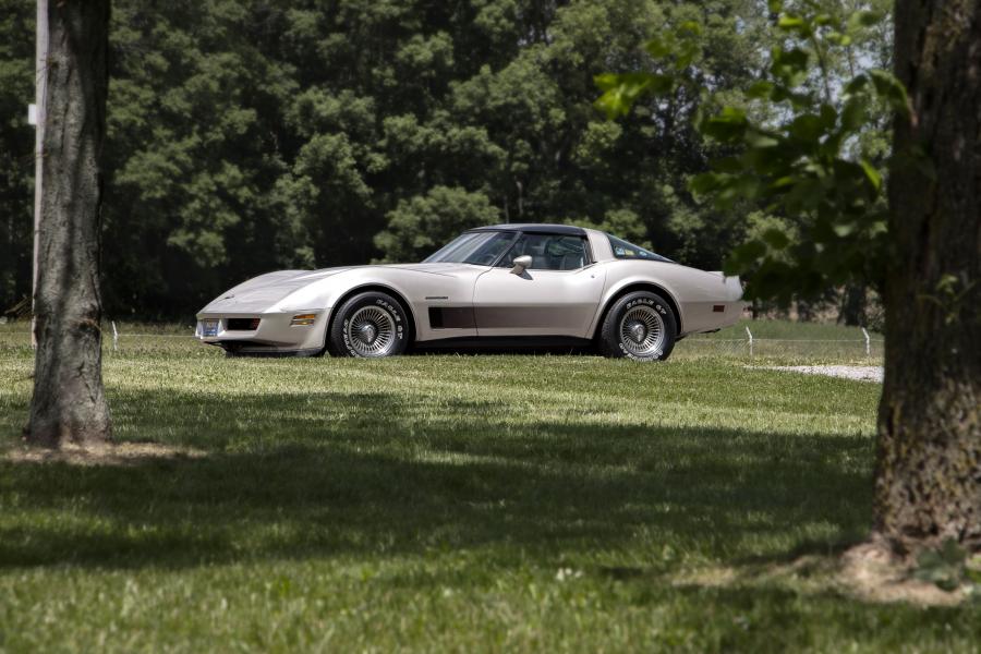  Chevrolet Corvette Collector Edition 1982 года  (фото 19 из 40)